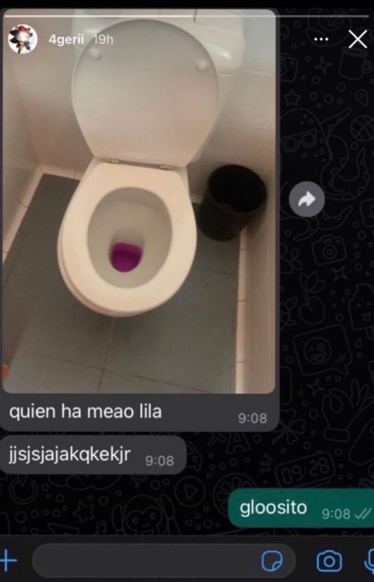 Rayquasa tweet media