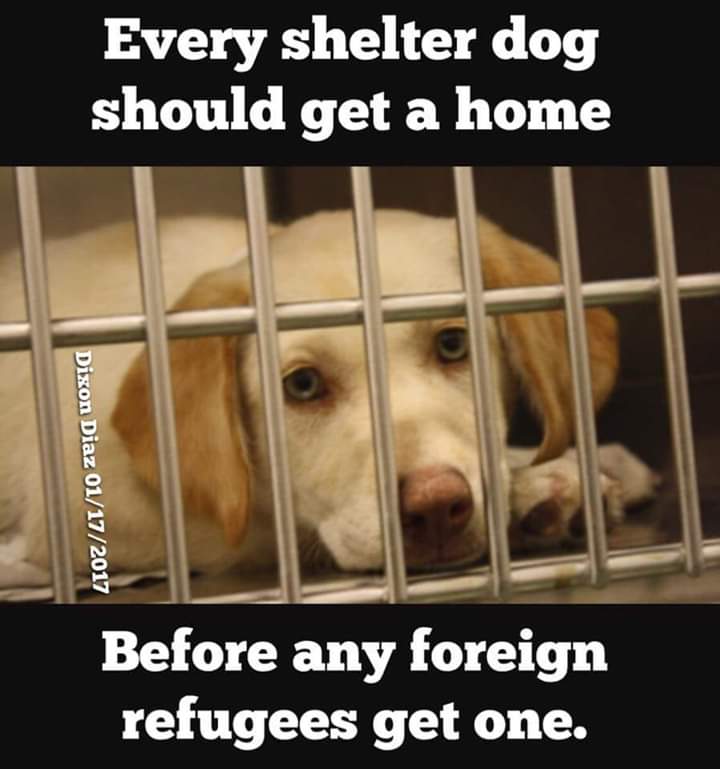 Charlie's Angel tweet media