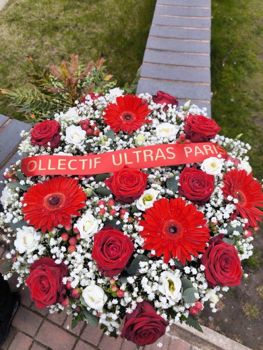 lélé ❤️💙 tweet media