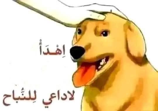 جيفارا tweet media
