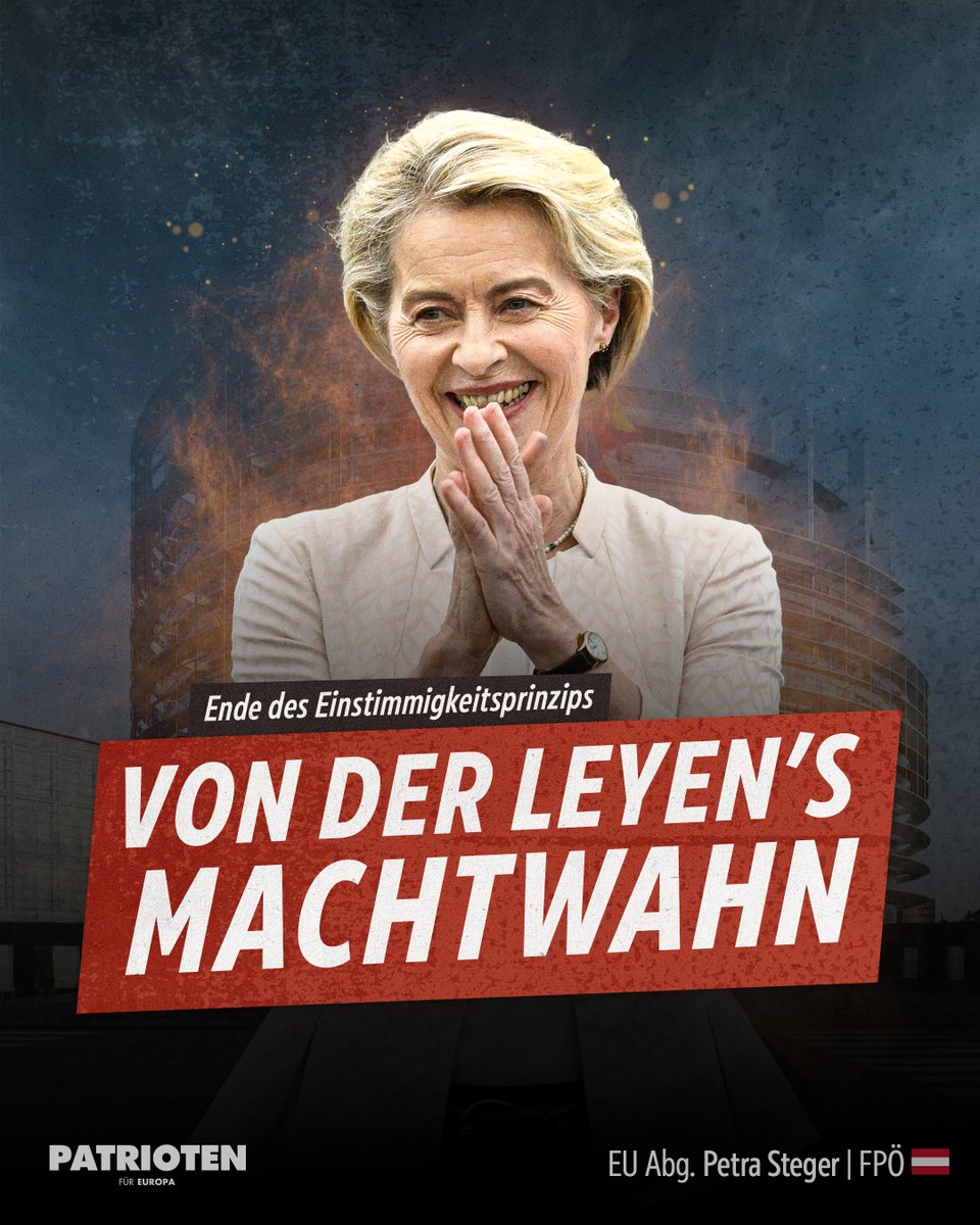 Petra Steger tweet media