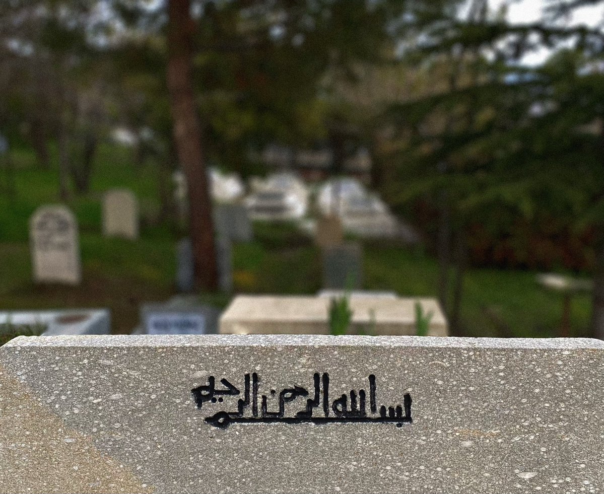 ervović tweet media