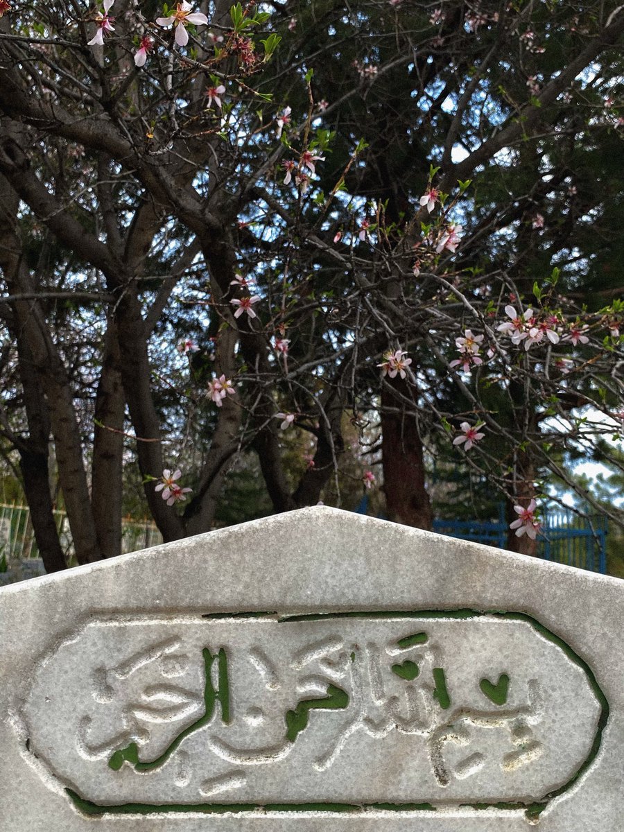 ervović tweet media