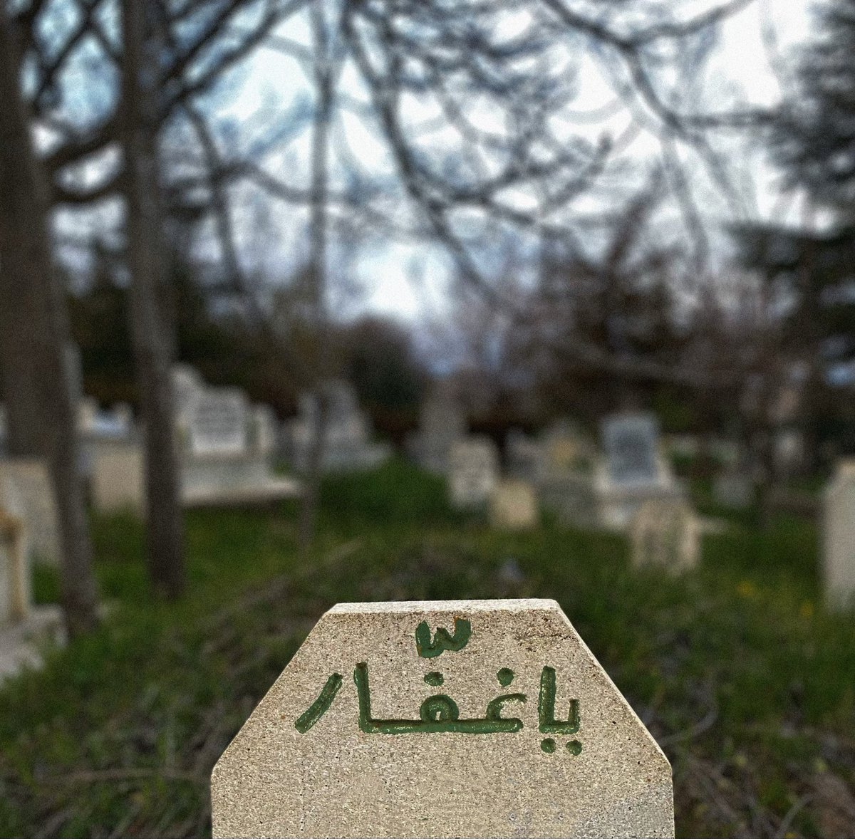 ervović tweet media