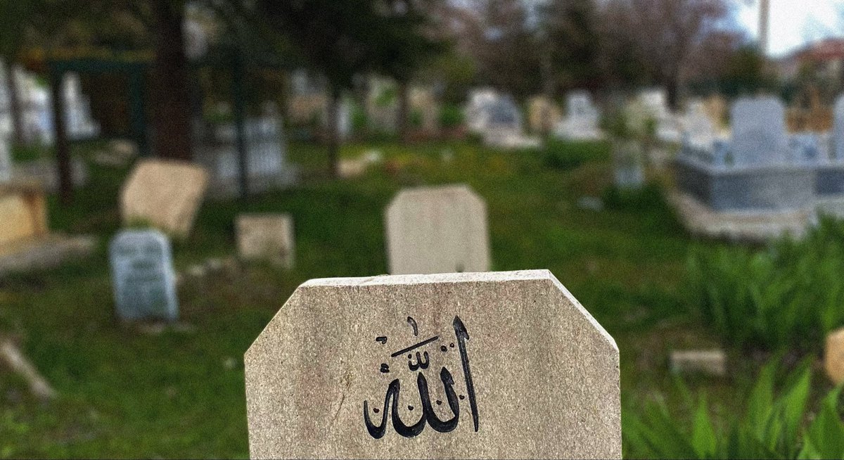 ervović tweet media