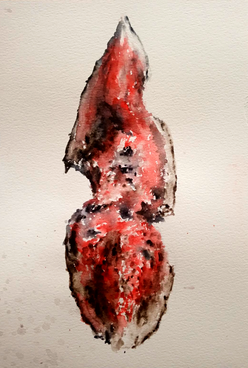 White Moth tweet media