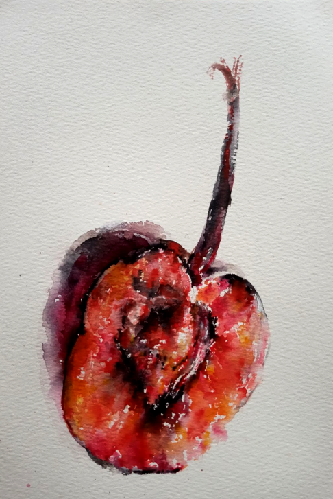 White Moth tweet media