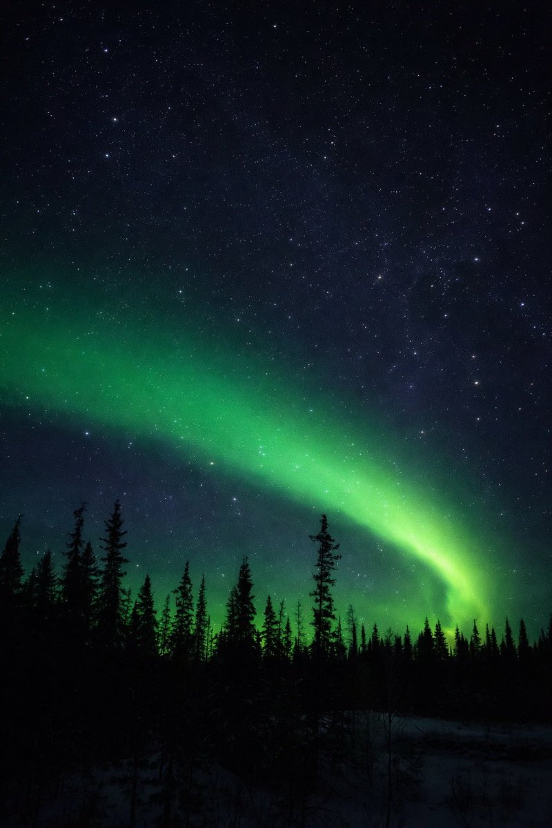 𝔬𝔯𝔭𝔥𝔞𝔫𝔢𝔡𝔰𝔨𝔶 tweet media