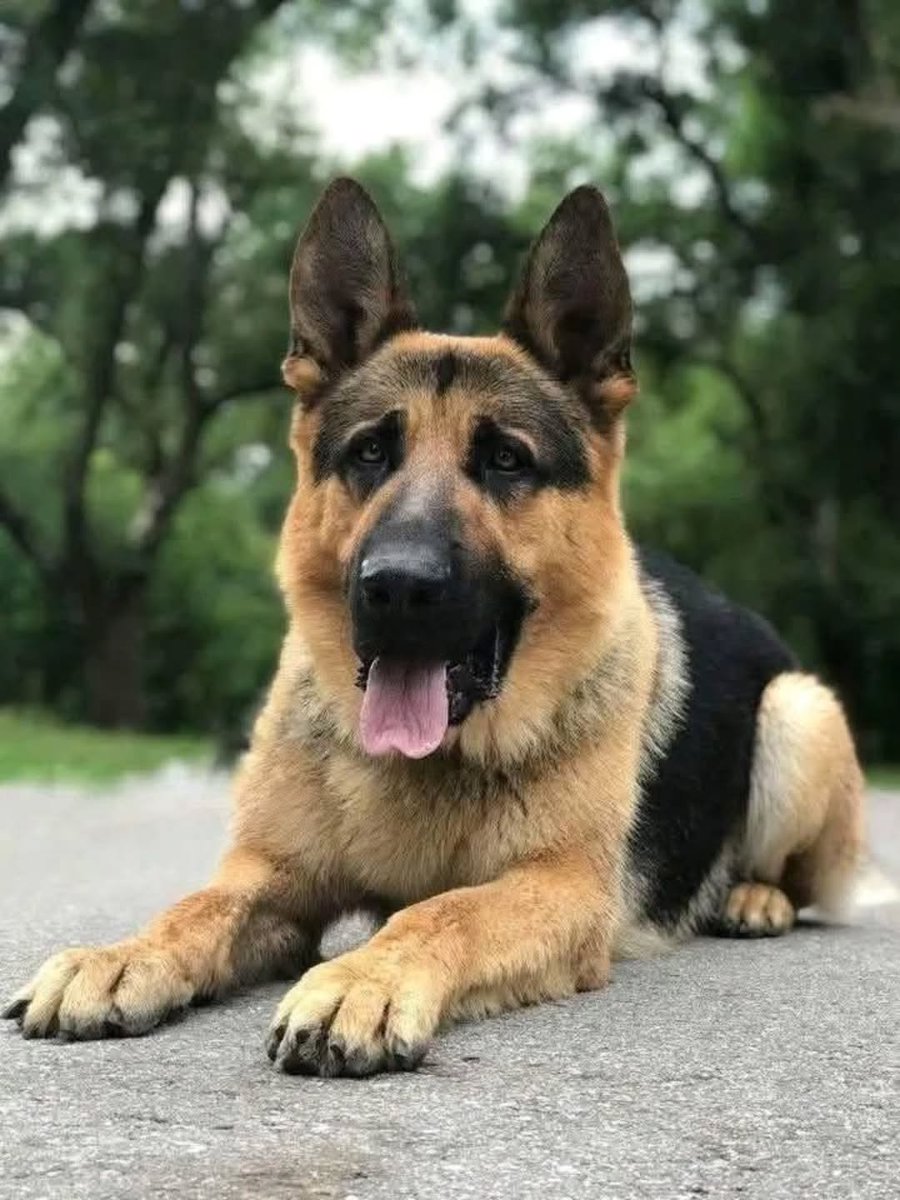 JamieFairchild tweet media