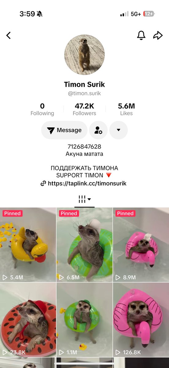 Timon Surik tweet media