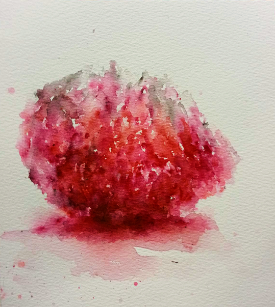 White Moth tweet media