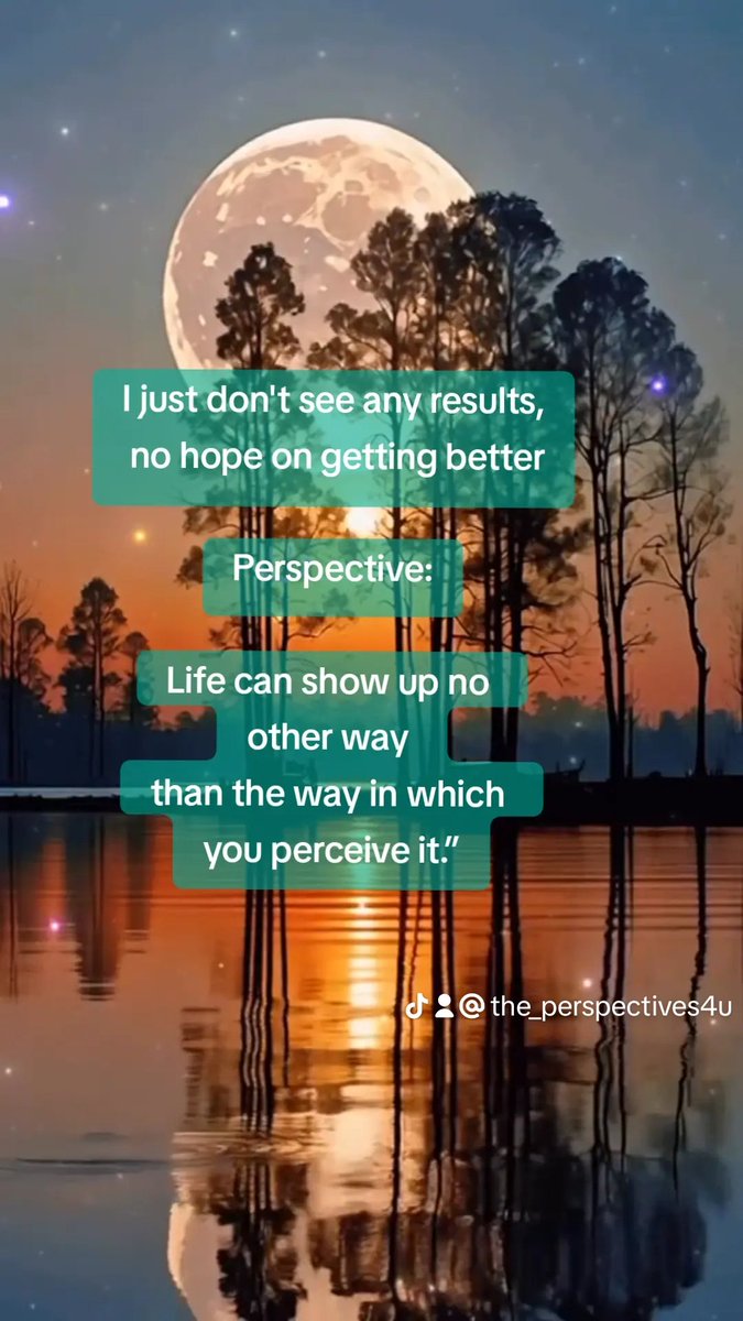 The Perspective (@Umberto44902568) / Posts / X