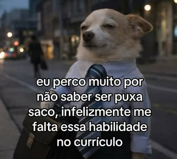 Trouxinha (@euovitinn) on Twitter photo 