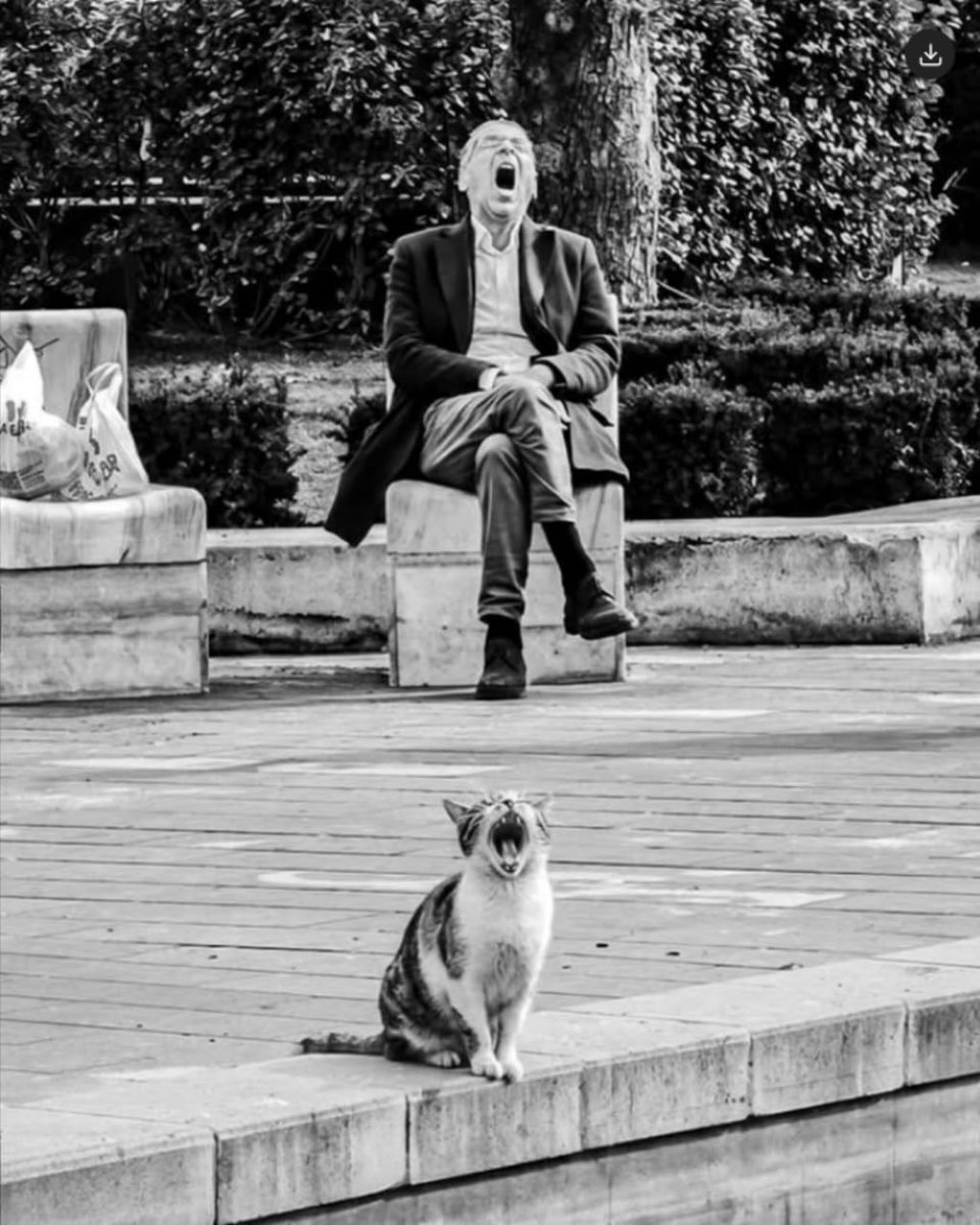 Пиздец в скворечнике #нетвойне tweet media