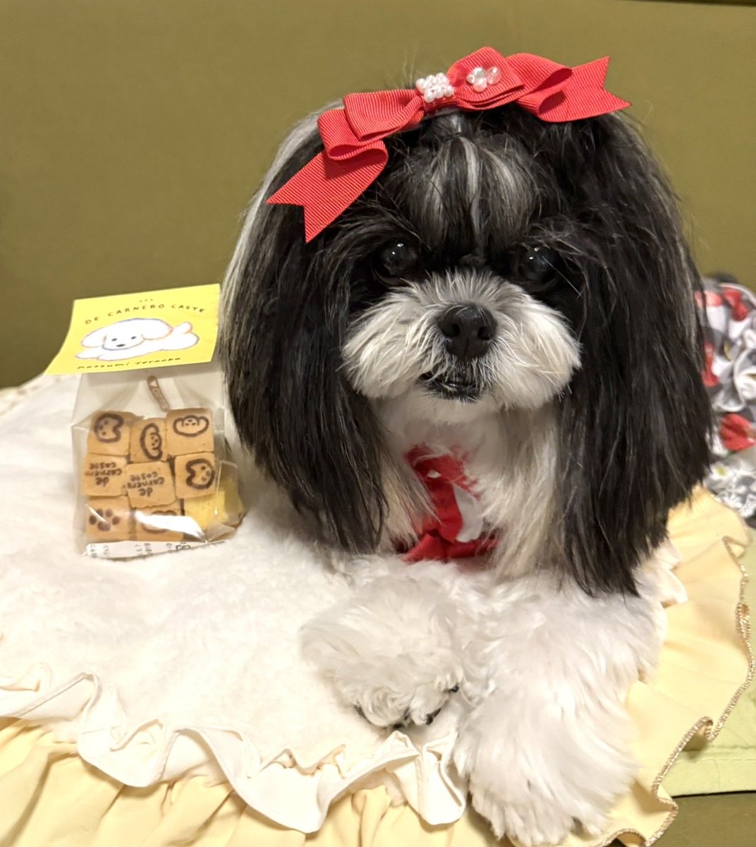 わんこ用のカステラも｢わたしの犬展｣で購入🐶
グッズも可愛すぎ😍絵本 魔女の犬､マスキングテープにイラストカード。
コーヒーはパッケージが可愛すぎて妹にもお土産に♪ぬいぐるみも購入しカスタマイズコーナーでは悩みながら夢中になりとても楽しかったぁ☺️

#てらおかなつみ さん
#わたしの犬展