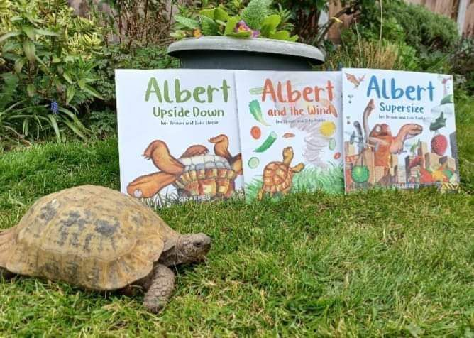 AlbertTortoise's tweet image. When there were Three... Real #ALBERTthetortoise inspects the first 3 ALBERT picturebooks #inspired by him. #AvailableNow 9 #ALBERT #picturebooks, 3 #BoardBooks &amp;amp; #ActivityBook Alberttortoise.com
#tortoise #bookseries #garden #illustrated #storytime