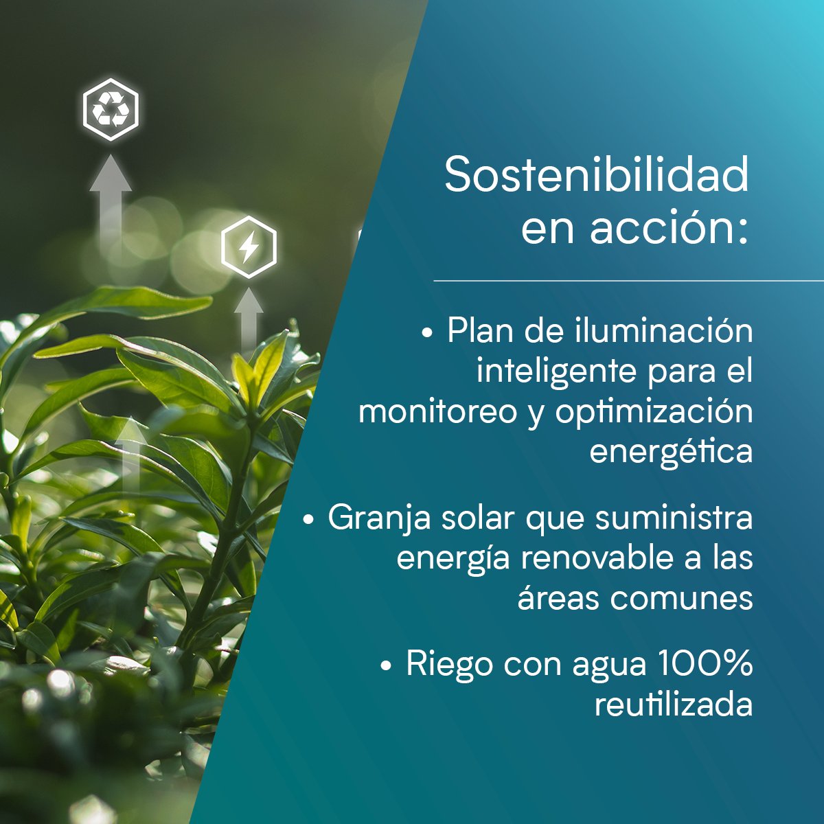 A través de la integración de la tecnología y el análisis de datos, Evolution Free Zone fortalece el desempeño ambiental.​

​A través del monitoreo continuo de indicadores clave como el consumo de energía, el uso de agua y la generación de residuos, nuestro Ecosistema Empresarial