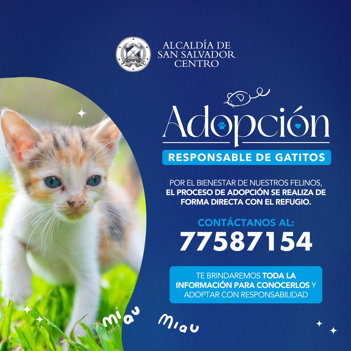 Regala una segunda oportunidad y gana un amigo para toda la vida!🐱🐾

Promovemos la adopción responsable, brindando a estos felinos la oportunidad de encontrar un hogar lleno de amor y cuidado.

Si deseas adoptar, contáctanos y conoce el proceso.
 📲: 7758 7154