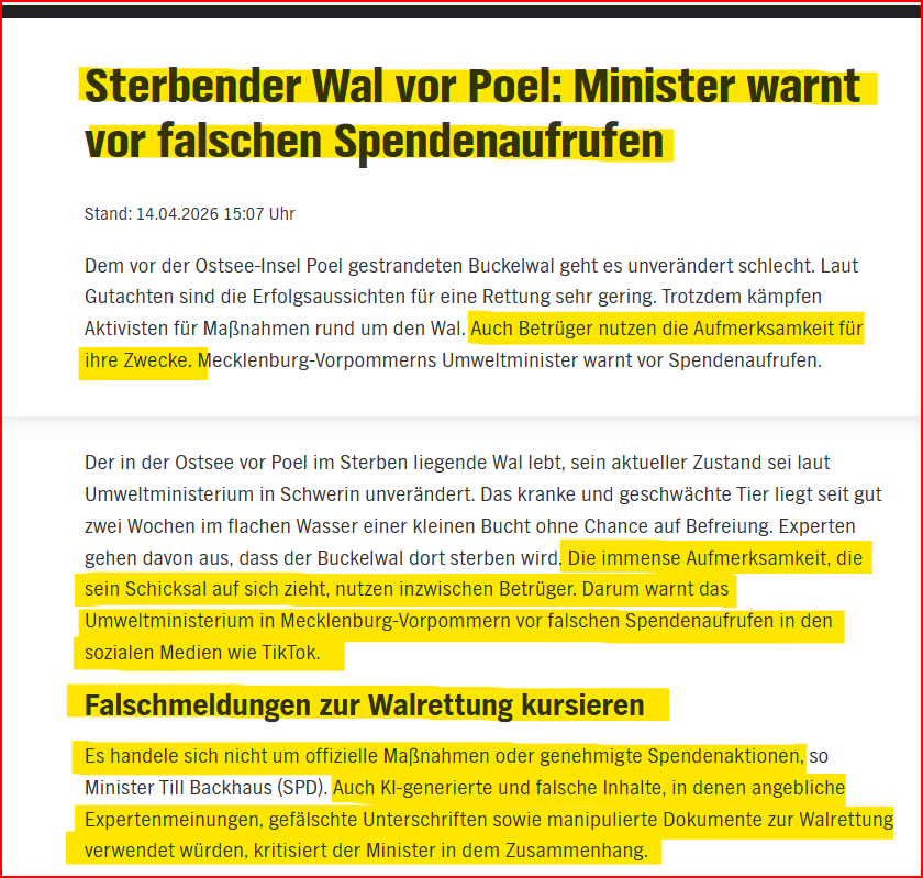 #Timmy 🐋 #Ostsee 
Achtung❗️Es kursieren aktuell auf #SocialMediaToday 
#Tiktok #Telegram #Facebook u.a. sogenannte "Spendenaufrufe" aus dubiosen Quellen.  Spendet nicht, denn : 
Das ist #Fake💩❗️
(#Screenshot Quelle und #Audio <a href="/ndr/">NDR.de</a>)  
⤵️
ndr.de/nachrichten/me…