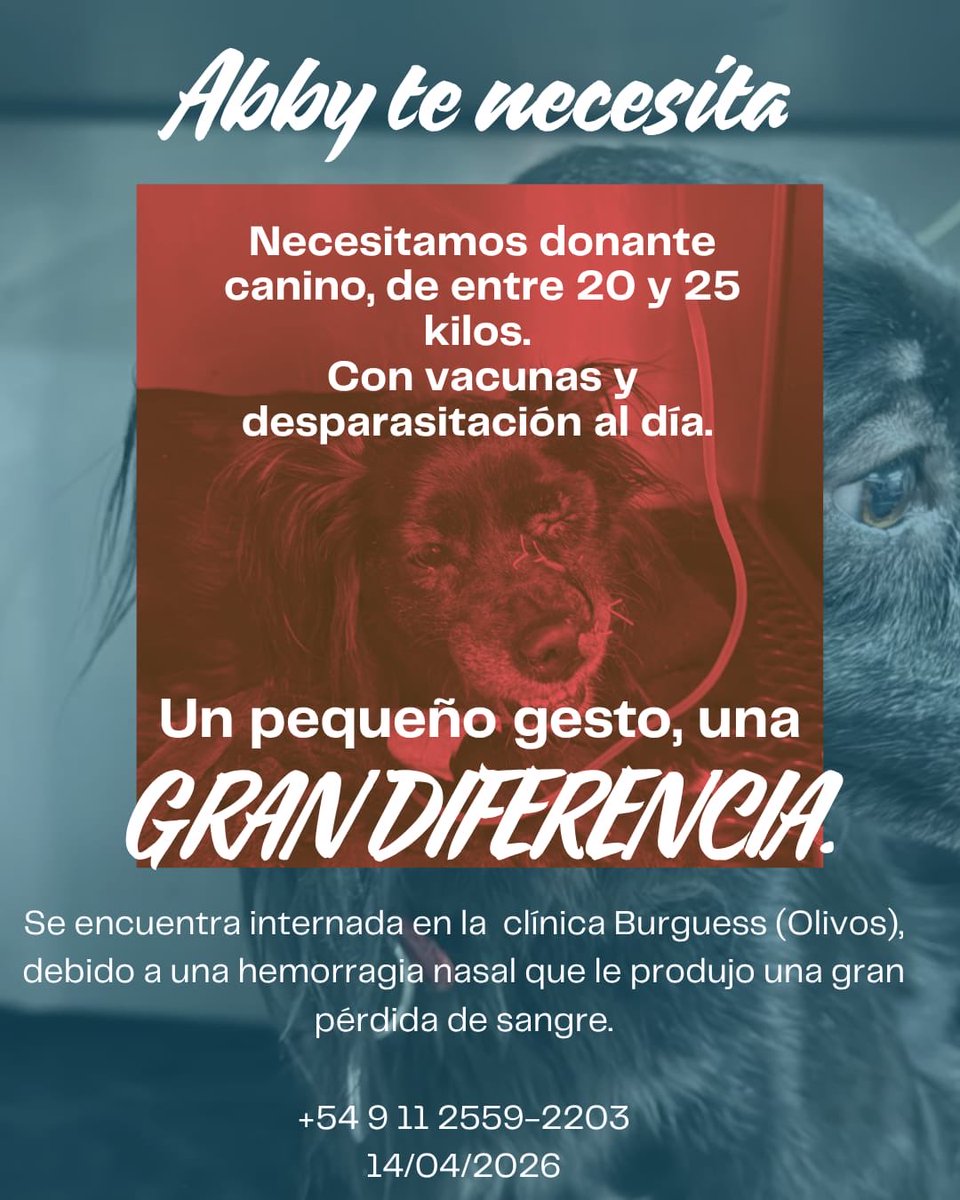 Conipallooza tweet media