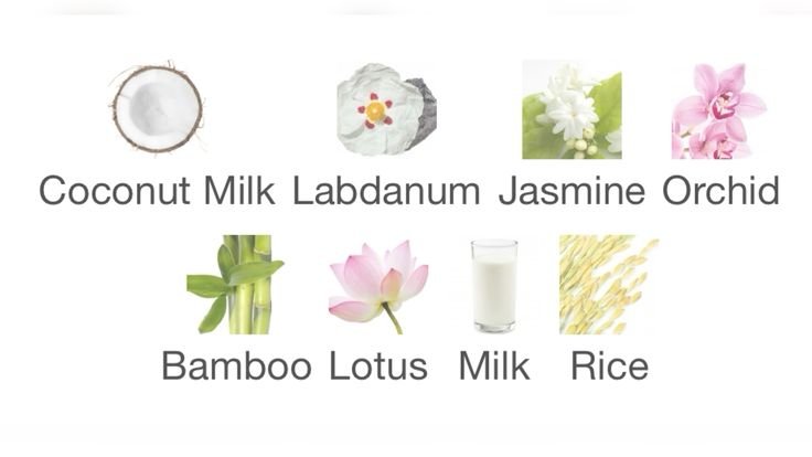 ivy ENHYPEN IS 7 tweet media