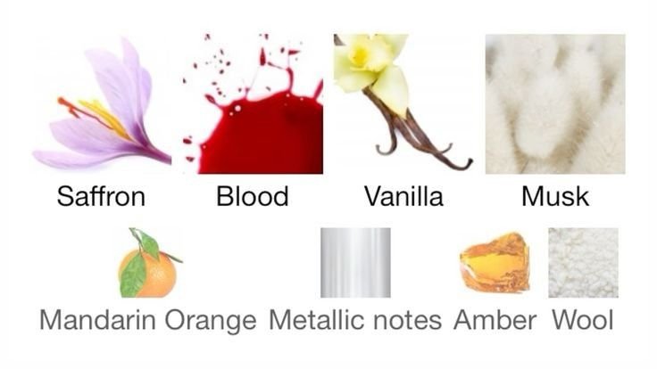 ivy ENHYPEN IS 7 tweet media