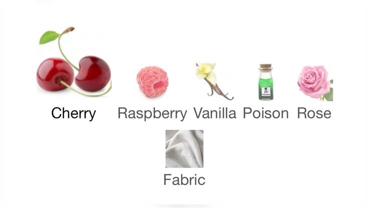 ivy ENHYPEN IS 7 tweet media