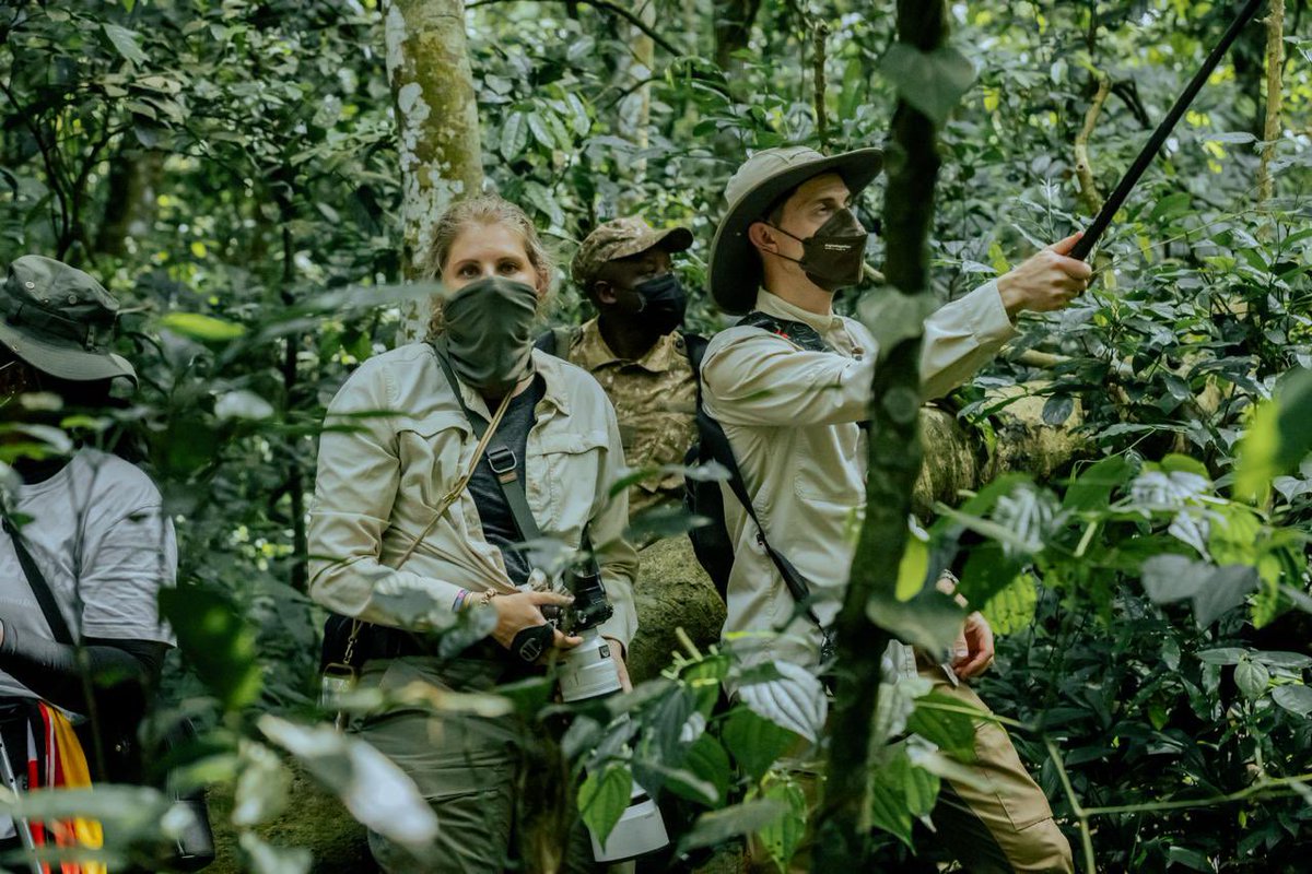 Uganda Tourism Board tweet media