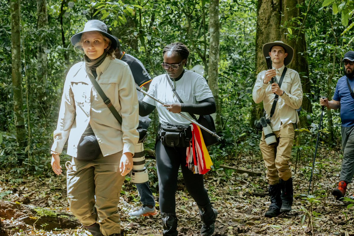 Uganda Tourism Board tweet media