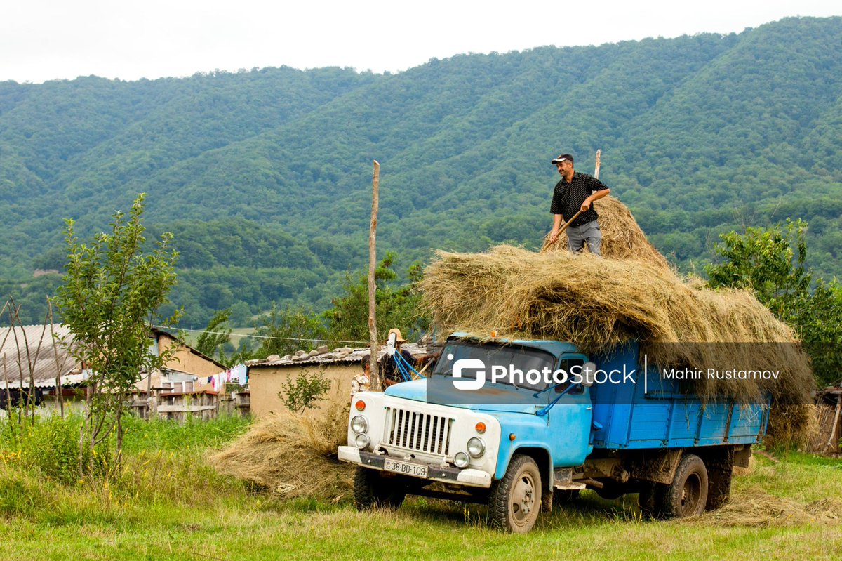 Photo Stock tweet media