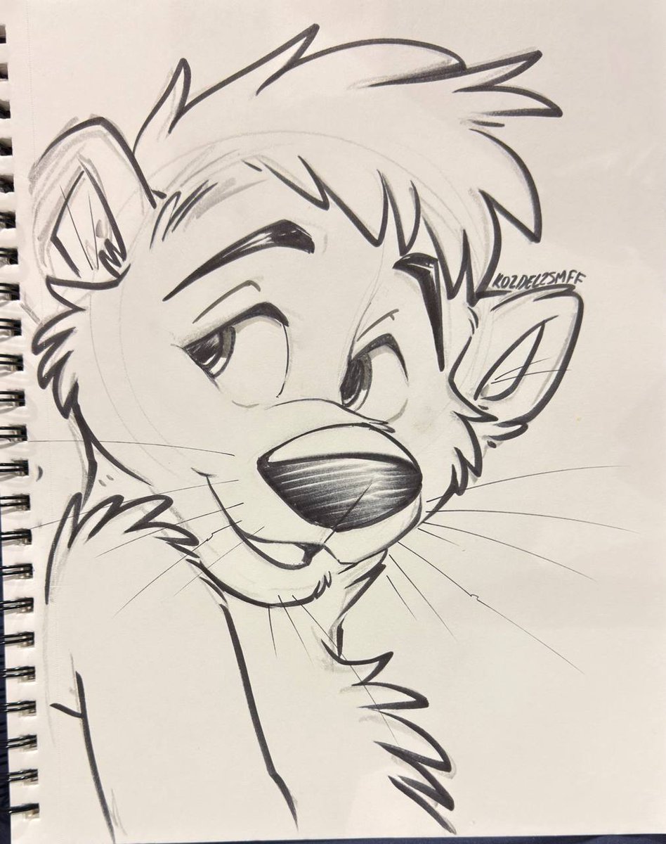 KoidelCoyote 💫 FWA AC MP tweet media