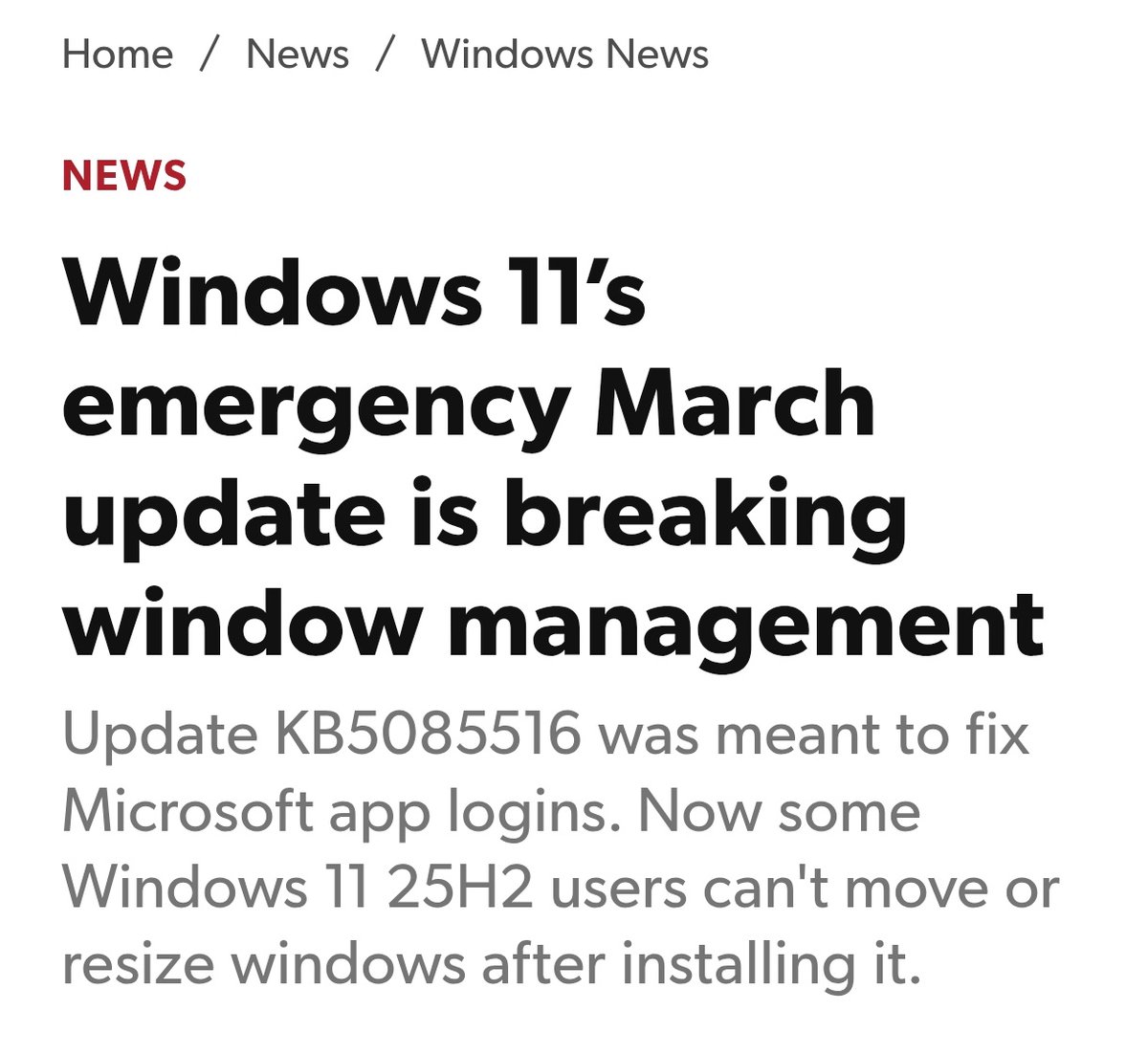 ♡ mari/cohe ♡ tweet media