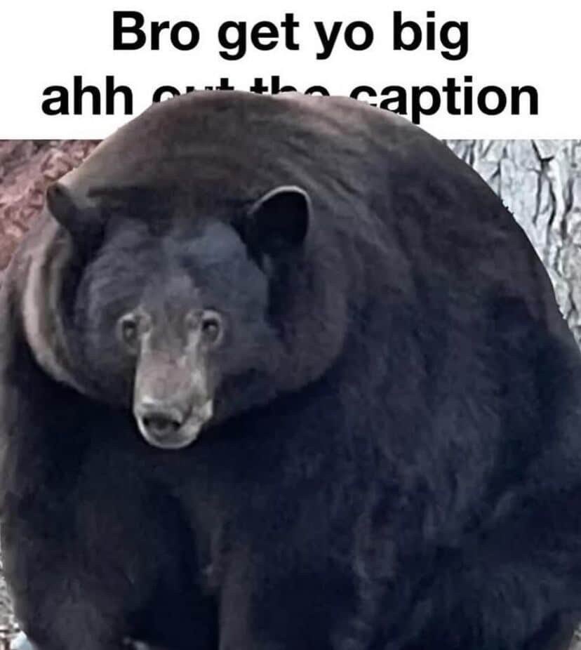 intellectualrip's tweet image. شريت تيشيرتين ارسنال xxl وطلع ضيق حيل
#notproud
#shame
#fatassing