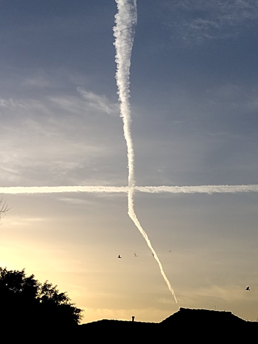 JasperStoneRev4:3 tweet media