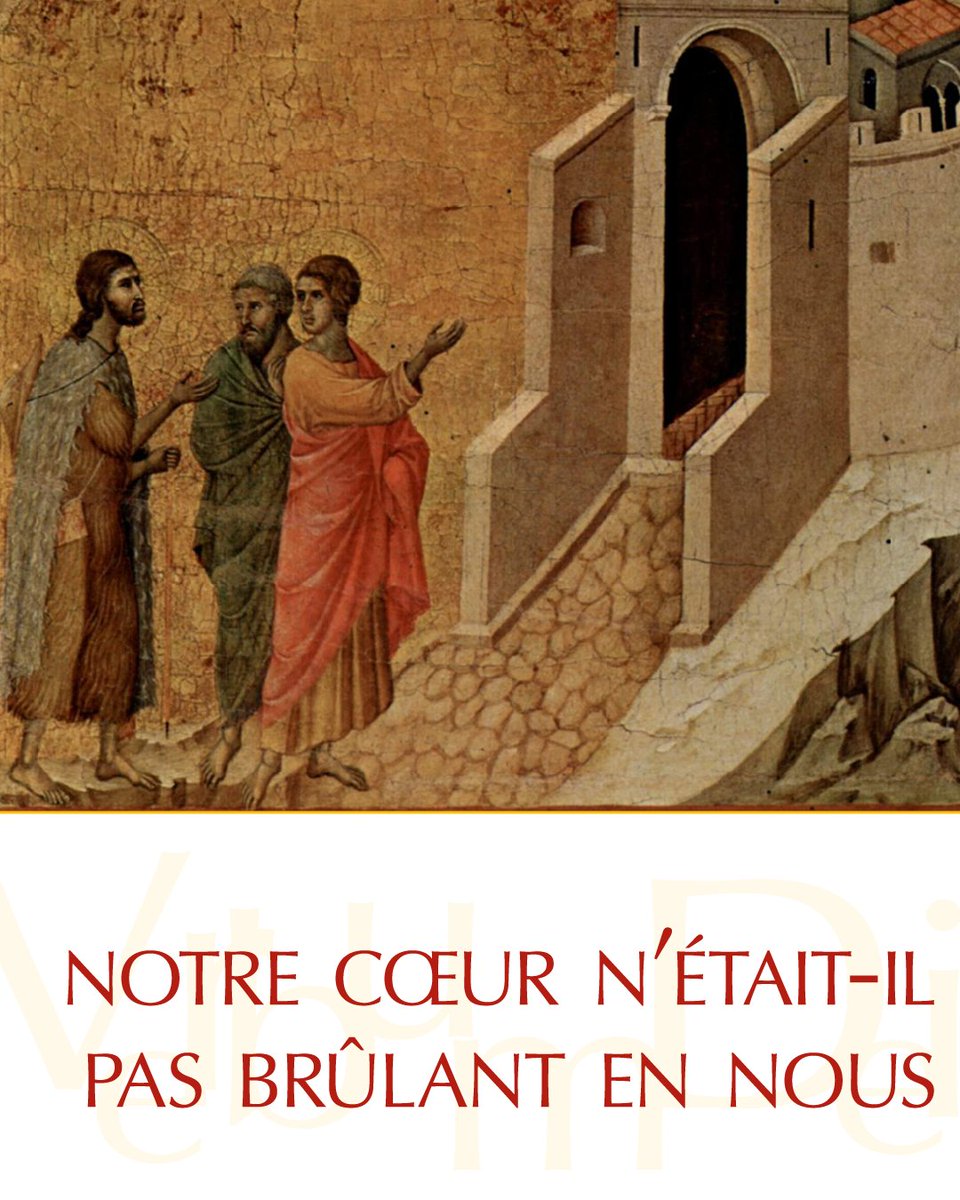 Vatican News tweet media