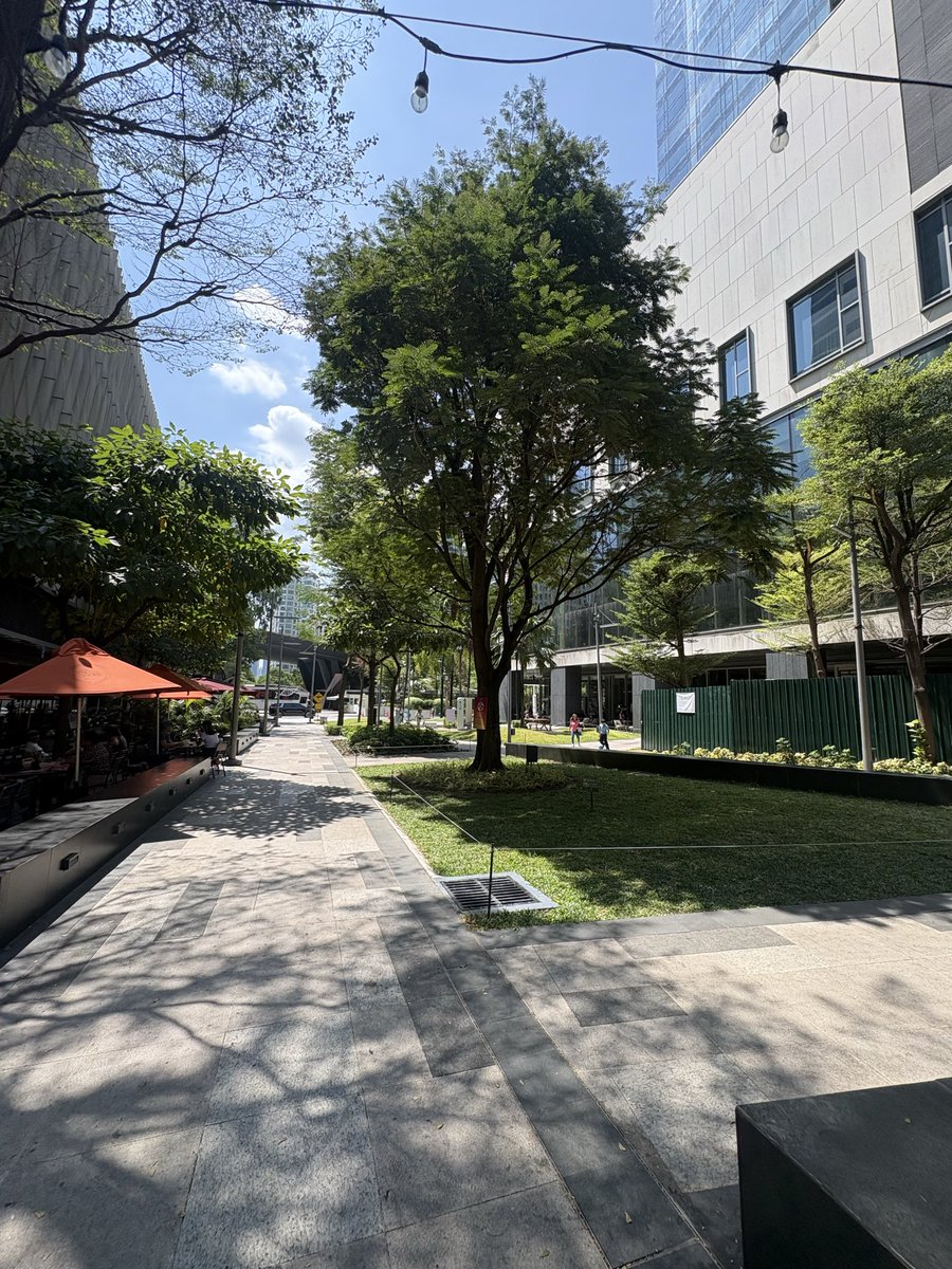 Maria Pacheco tweet media