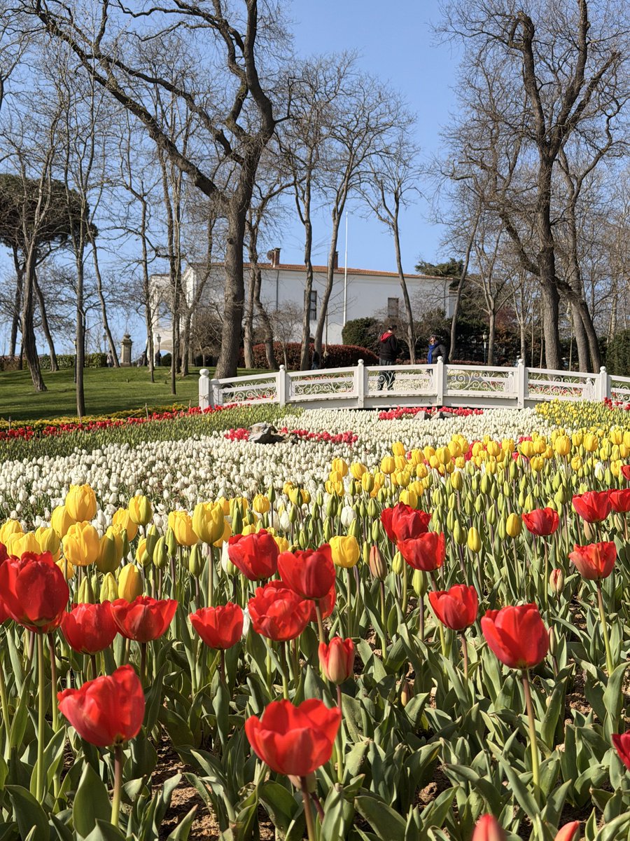 İstanbul Yapılacaklar Listesi tweet media