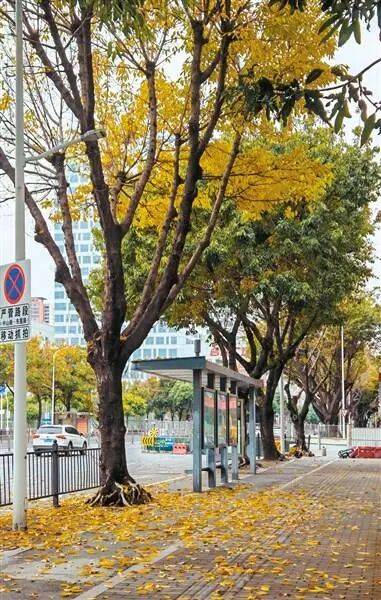 Александр Калденберг tweet media