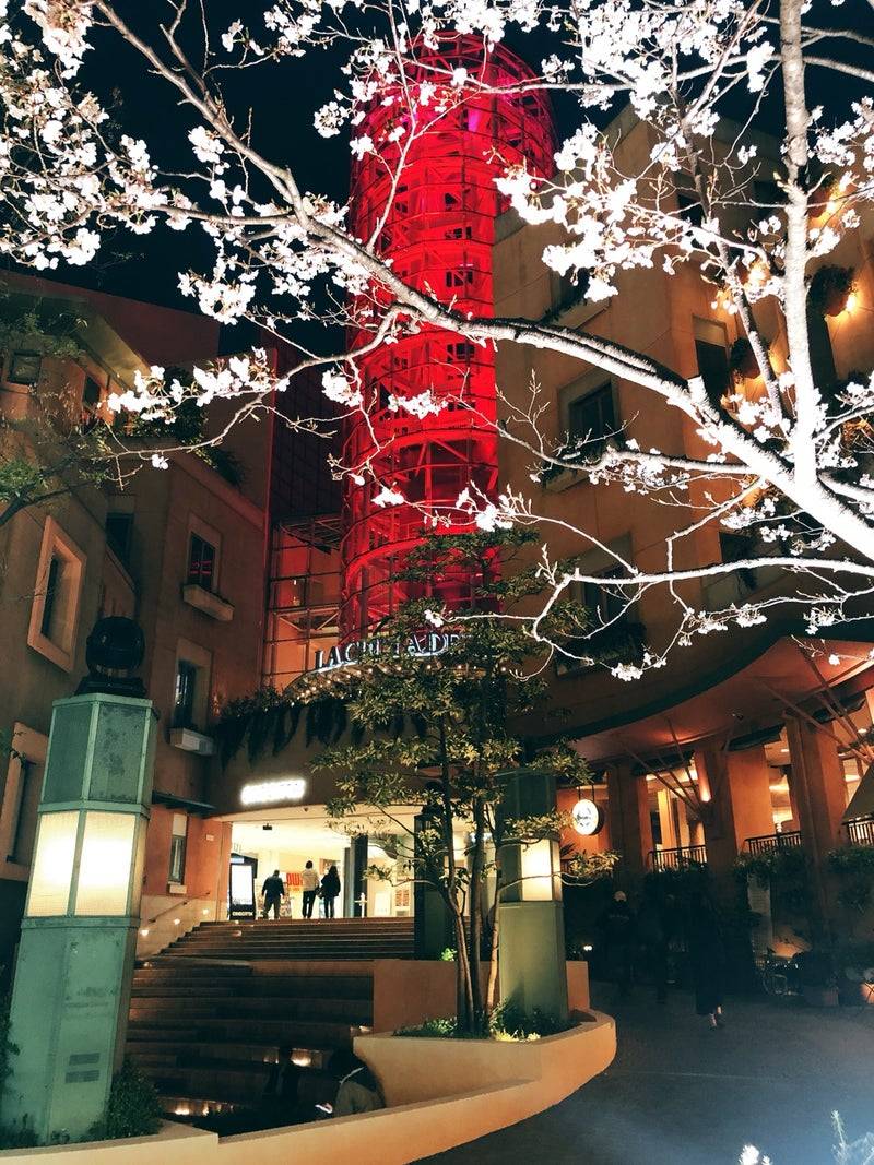 ラクス・クライン tweet media