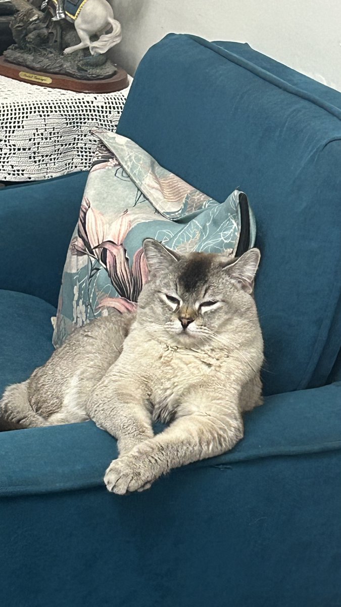 A҉M҉O҉U҉N҉A҉ ✝️💕♐️ tweet media