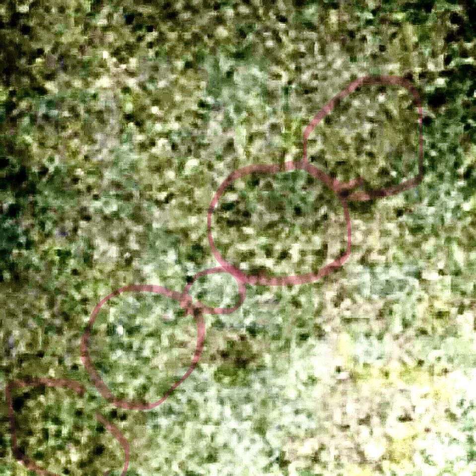 judith leach tweet media