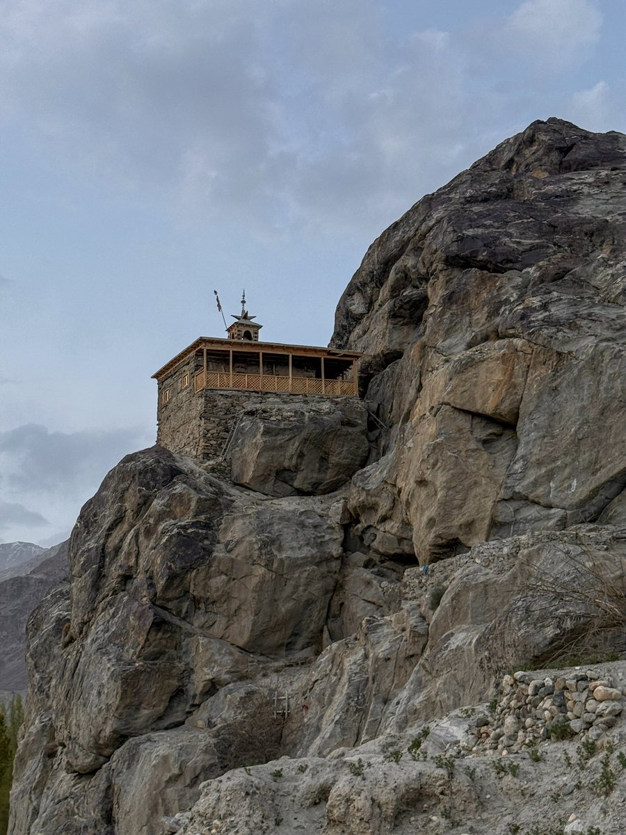 shah ش 🇨🇴 tweet media