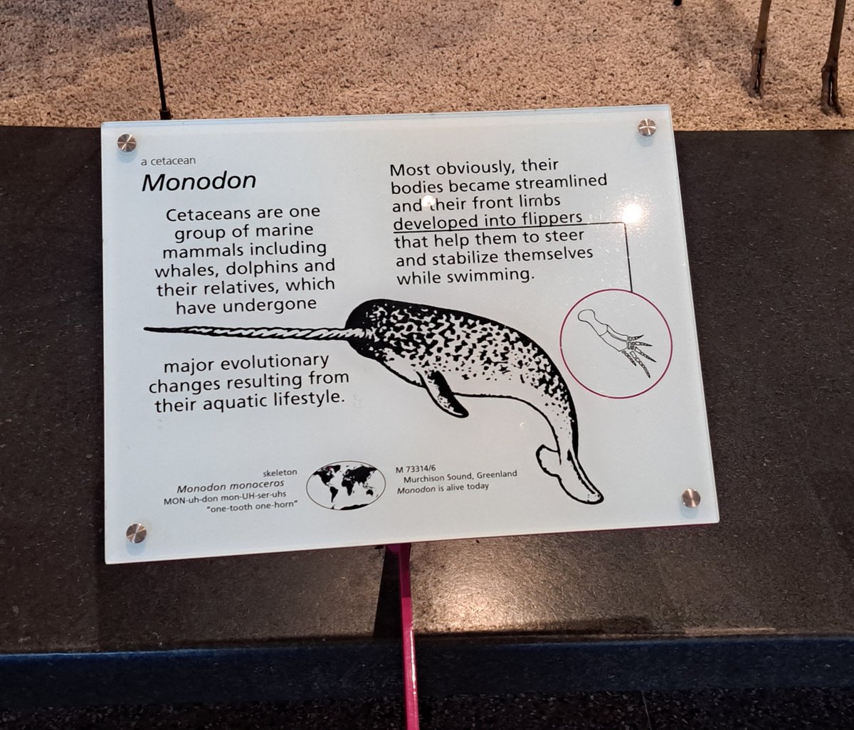 mr foods tweet media