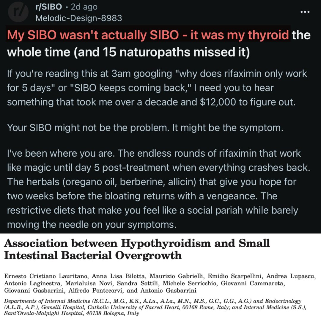 Master Metabolism tweet media