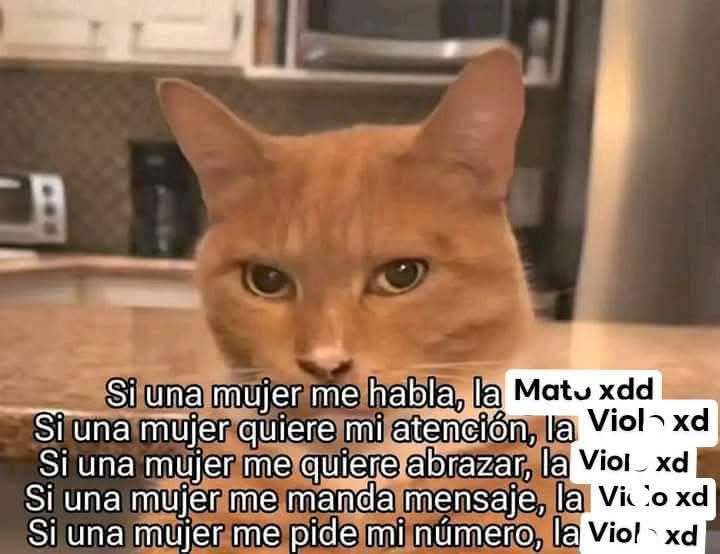 David Avery Menéndez Rosenberg tweet media