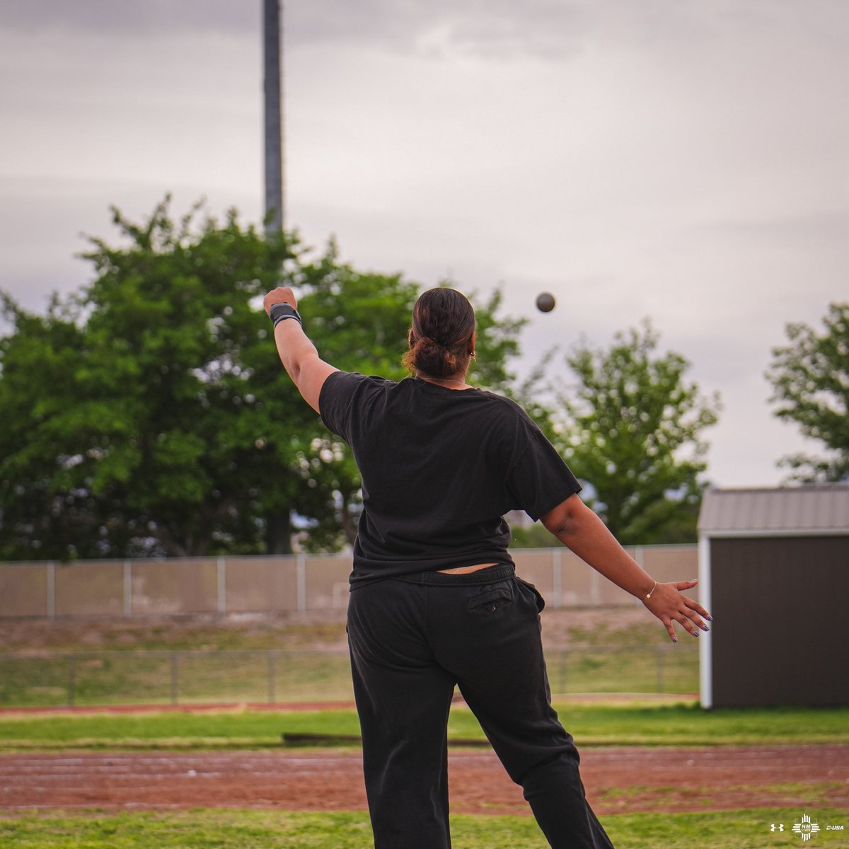 NM State XC/T&F tweet media