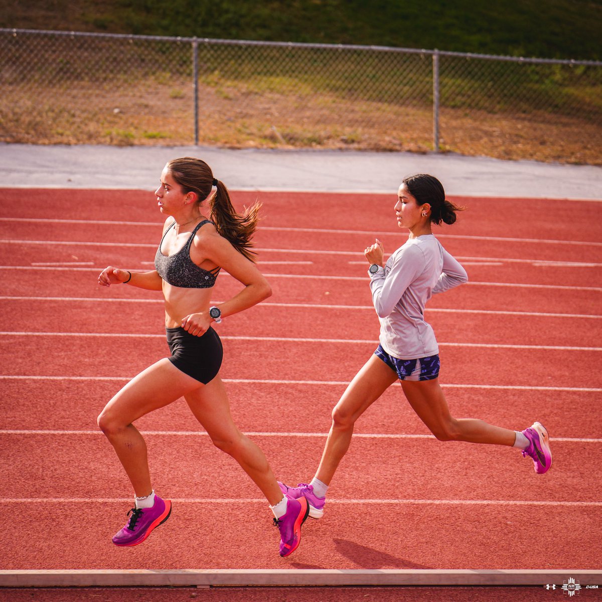 NM State XC/T&F tweet media