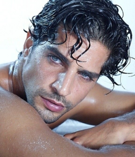 🌻🇺🇸 🇮🇱 🧡Pro USA Israel Reagan Republican tweet media