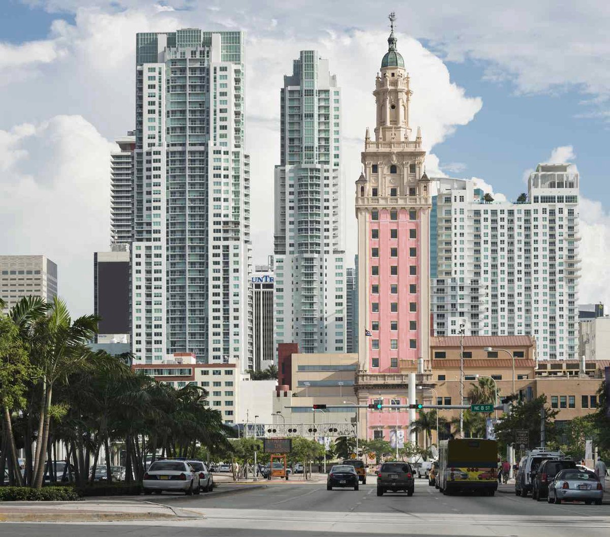 Michael F. Schall tweet media