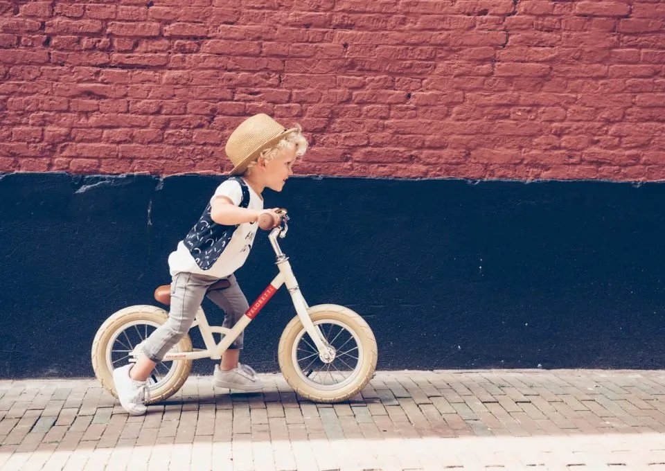 elizabeth van den essen tweet media